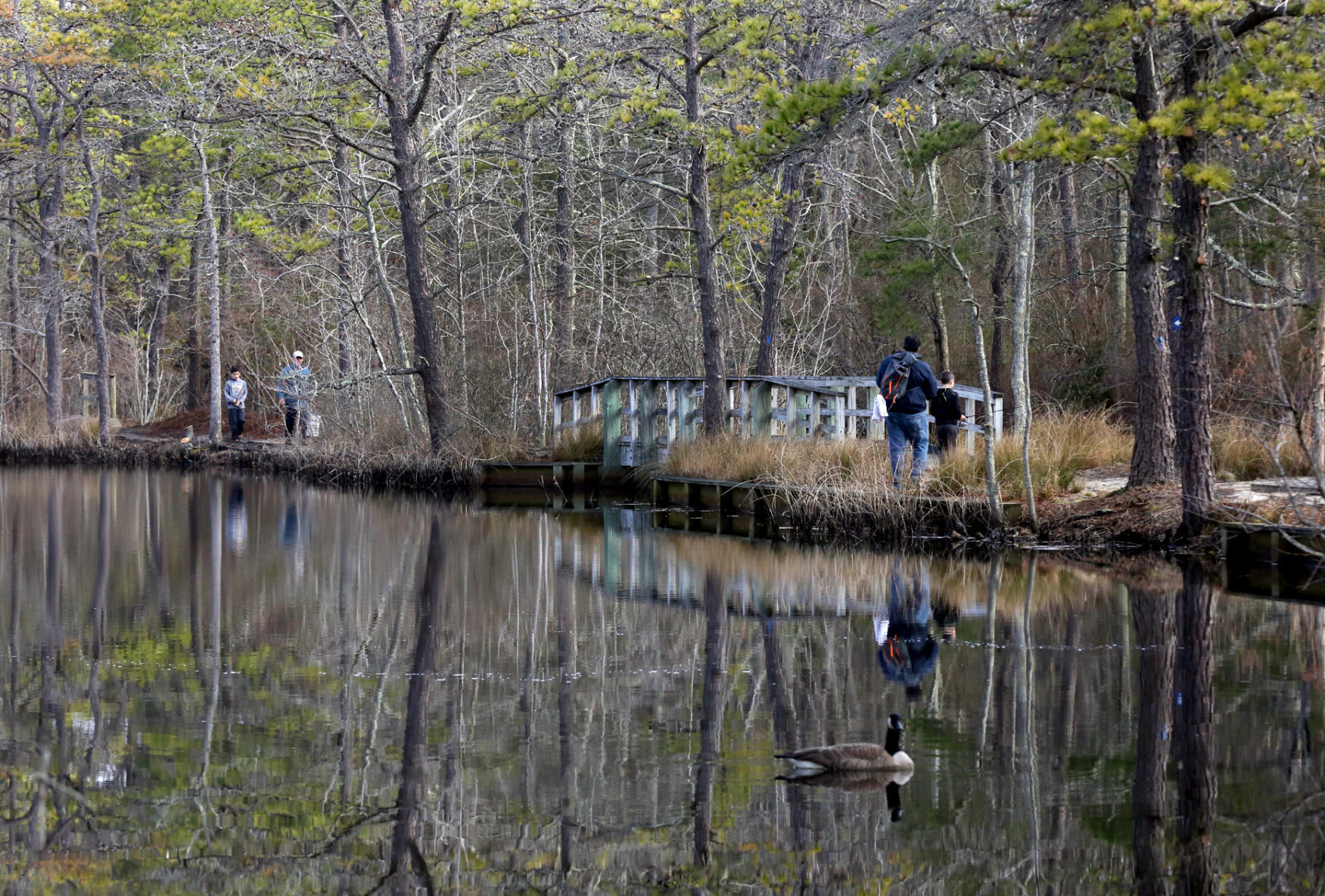 Trout fishing at Birch Grove
